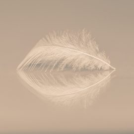biographe